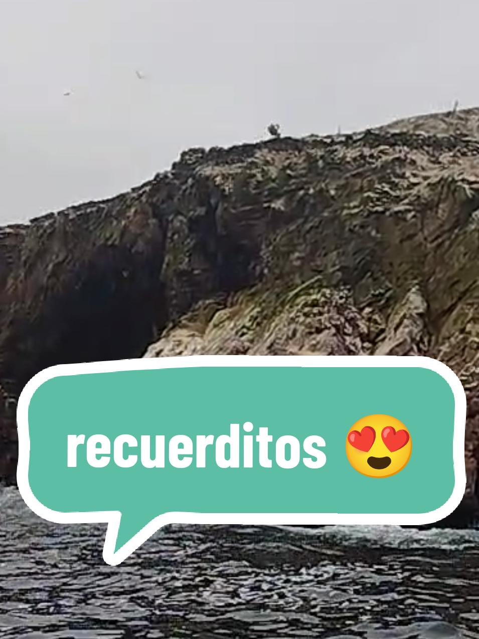 @Raquel@oficial
