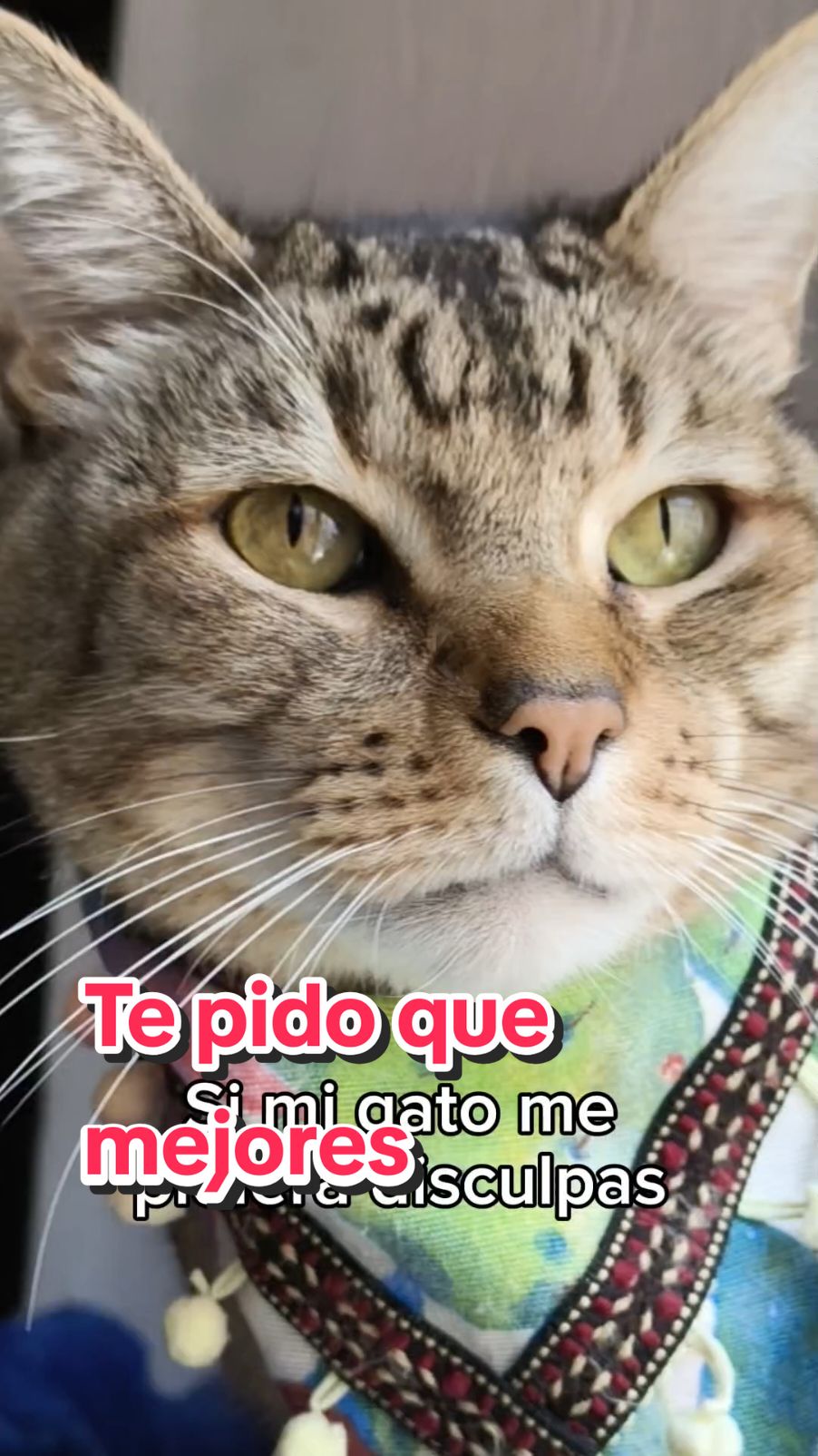 @Rayito, Jake, Ivar & Cristal