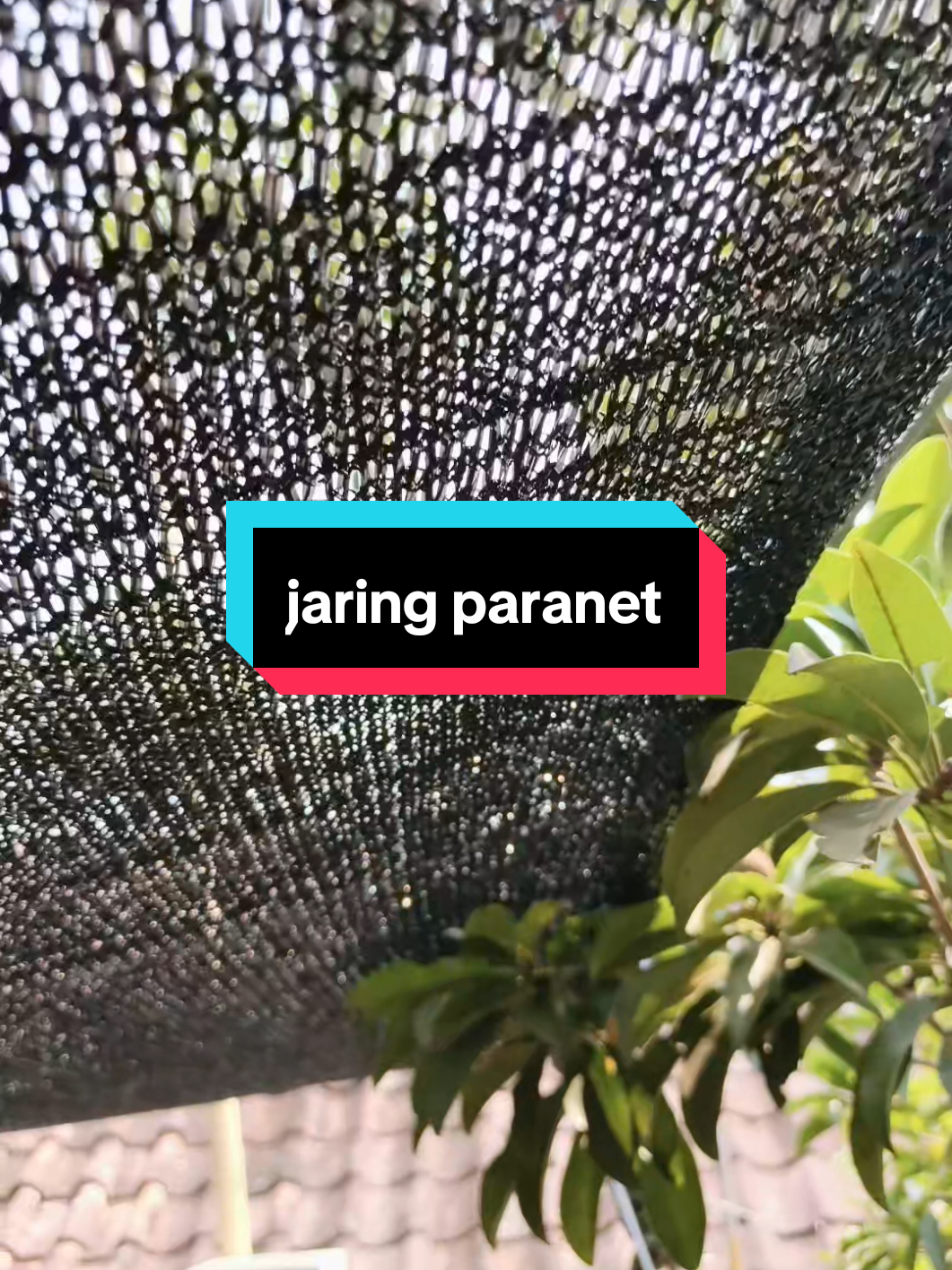 @ayah70an