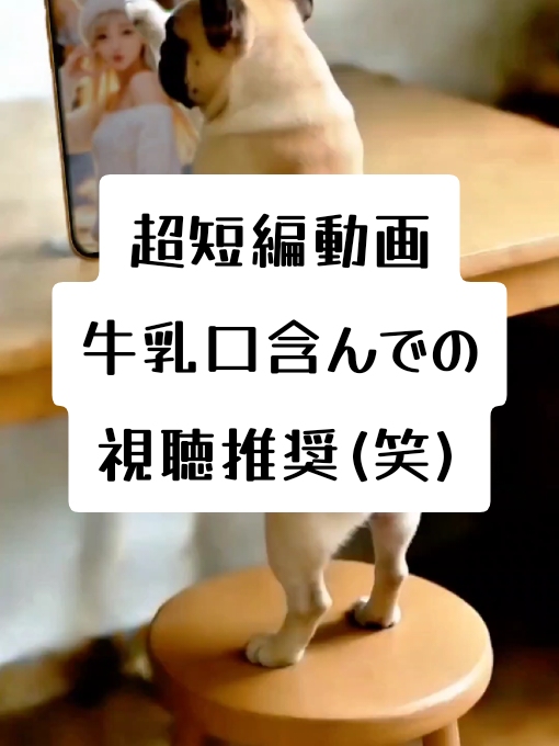 @がじゅまる隊長️🐼🐾