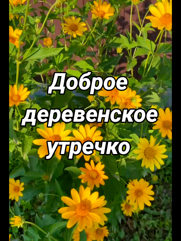 @Деревенская бабушка