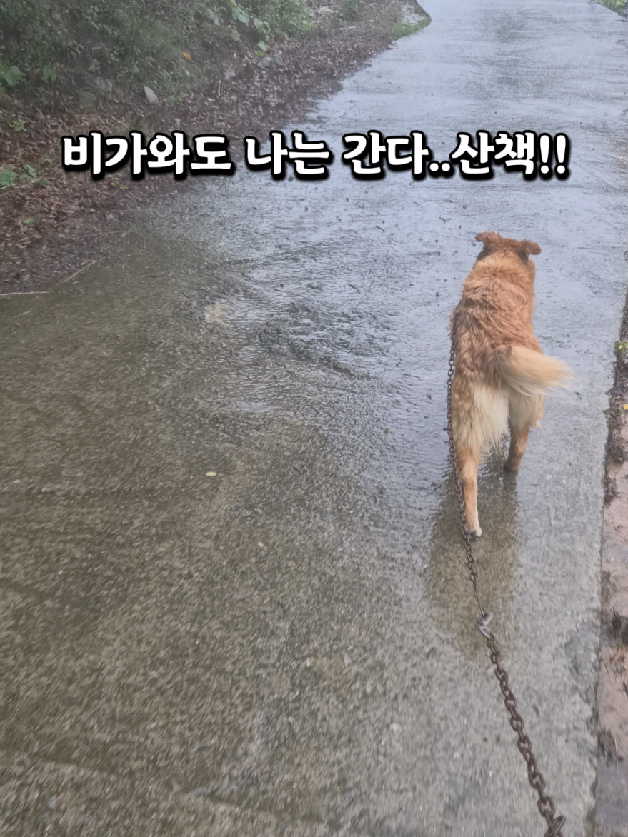 @지니힐즈