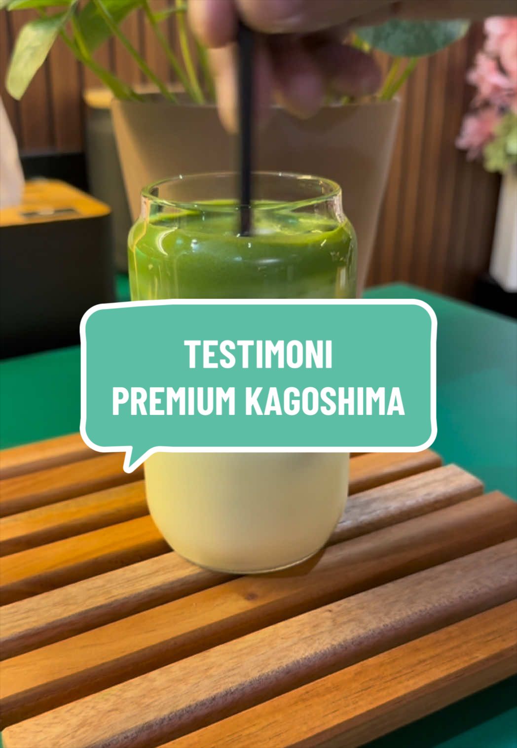 @MATCHASII SUPPLIER MATCHA