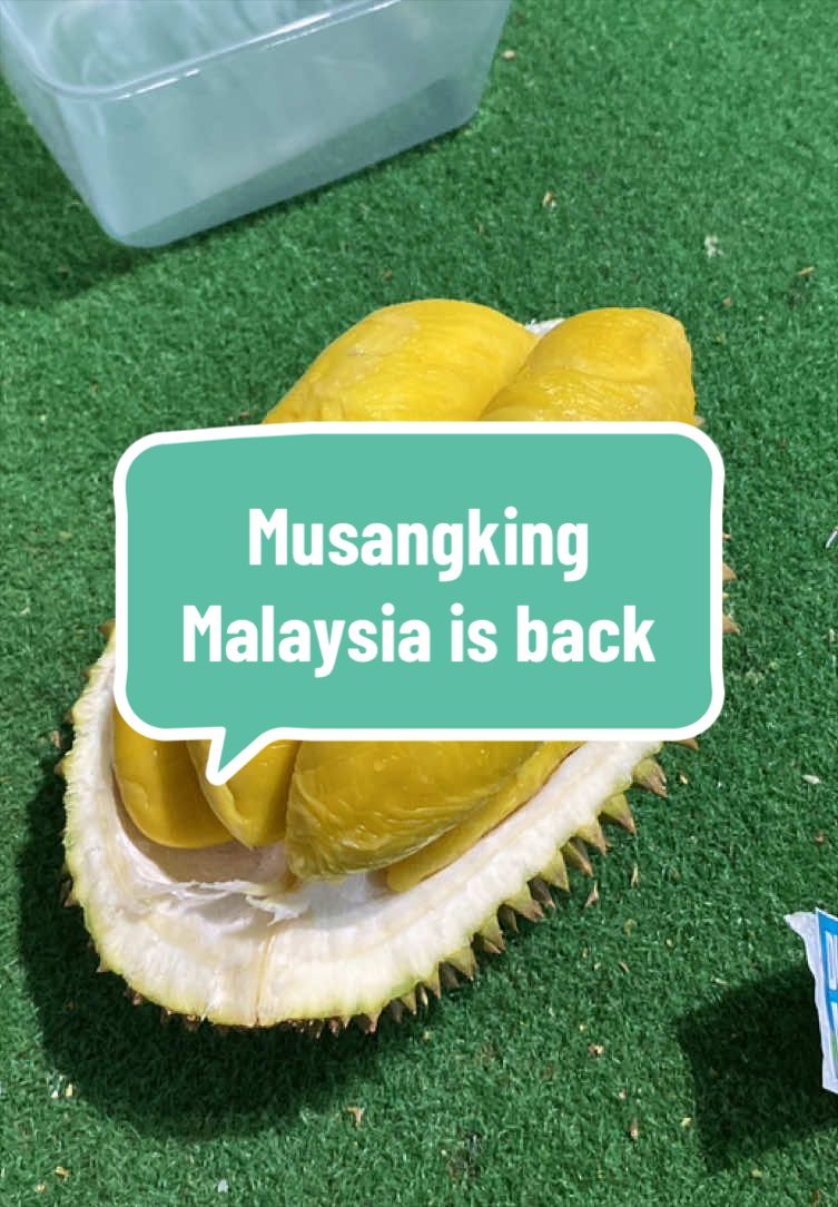 @Rumah Tamma Durian