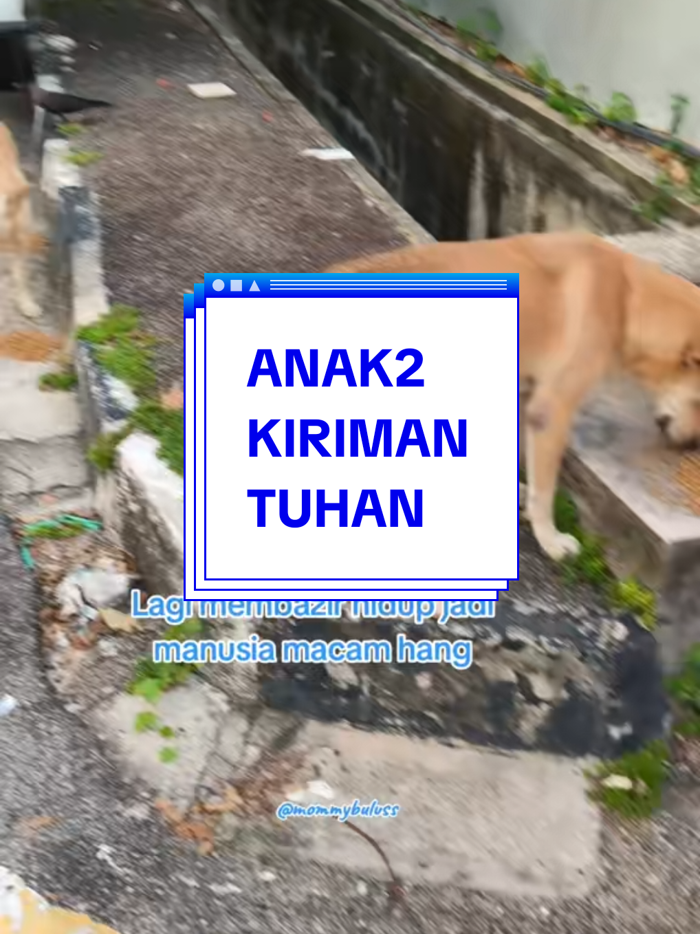 @🐕🐈⬛ Mommy Buluss 🐎🐒💙