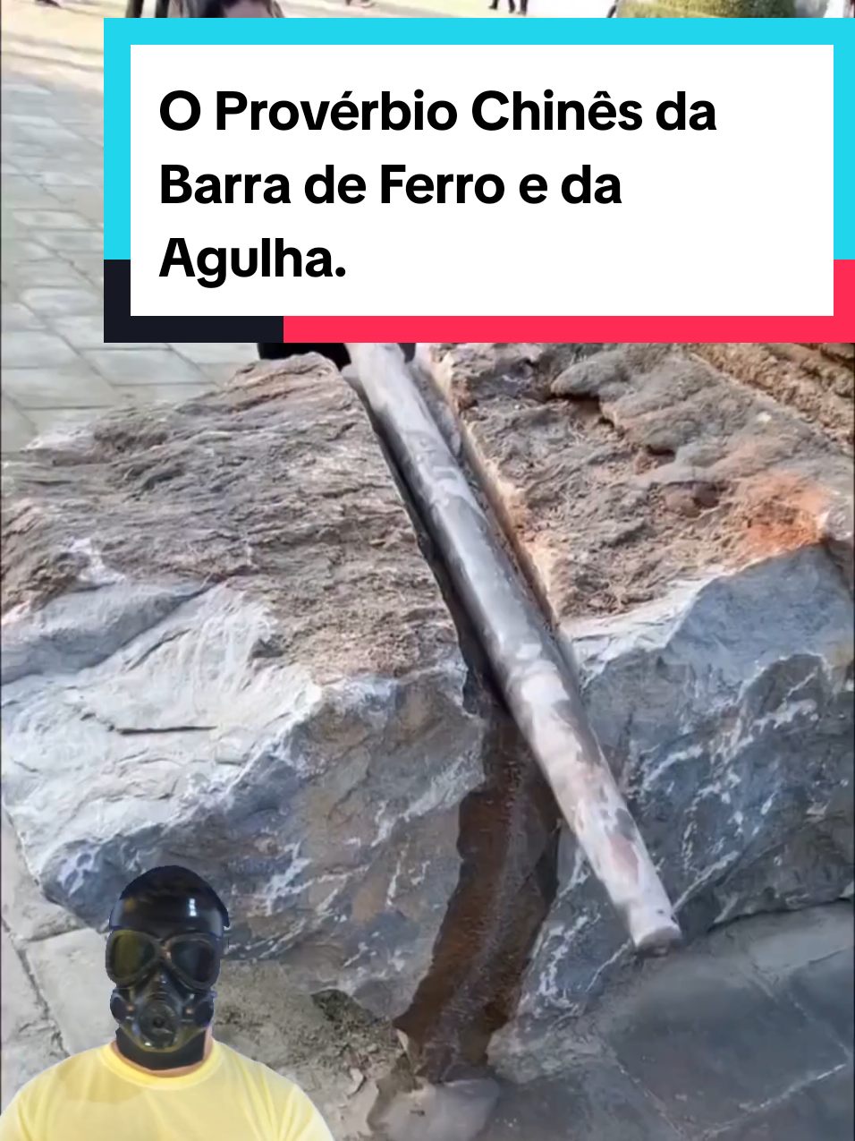 @Mundo da Curiosidades