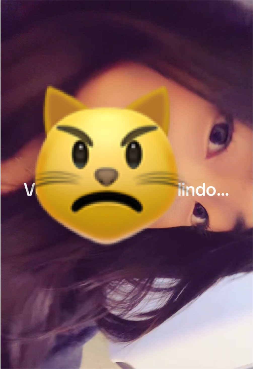 @konnobwacf