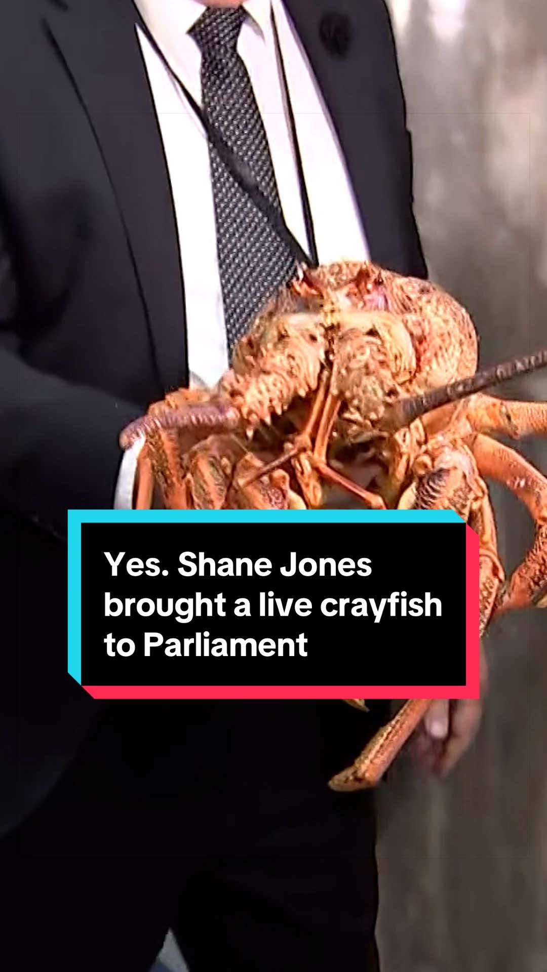 @NZstuff