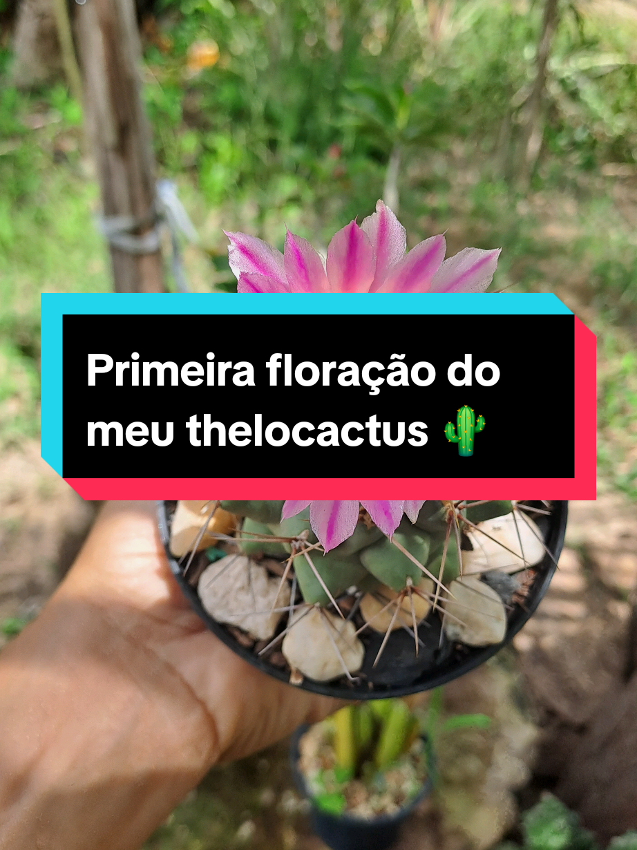 @Val Brito🌻✍️