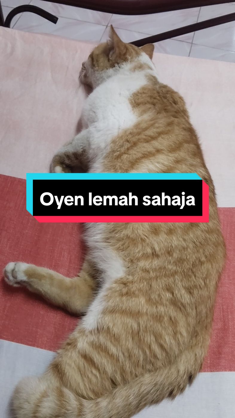 @Nur Alliya Azeman