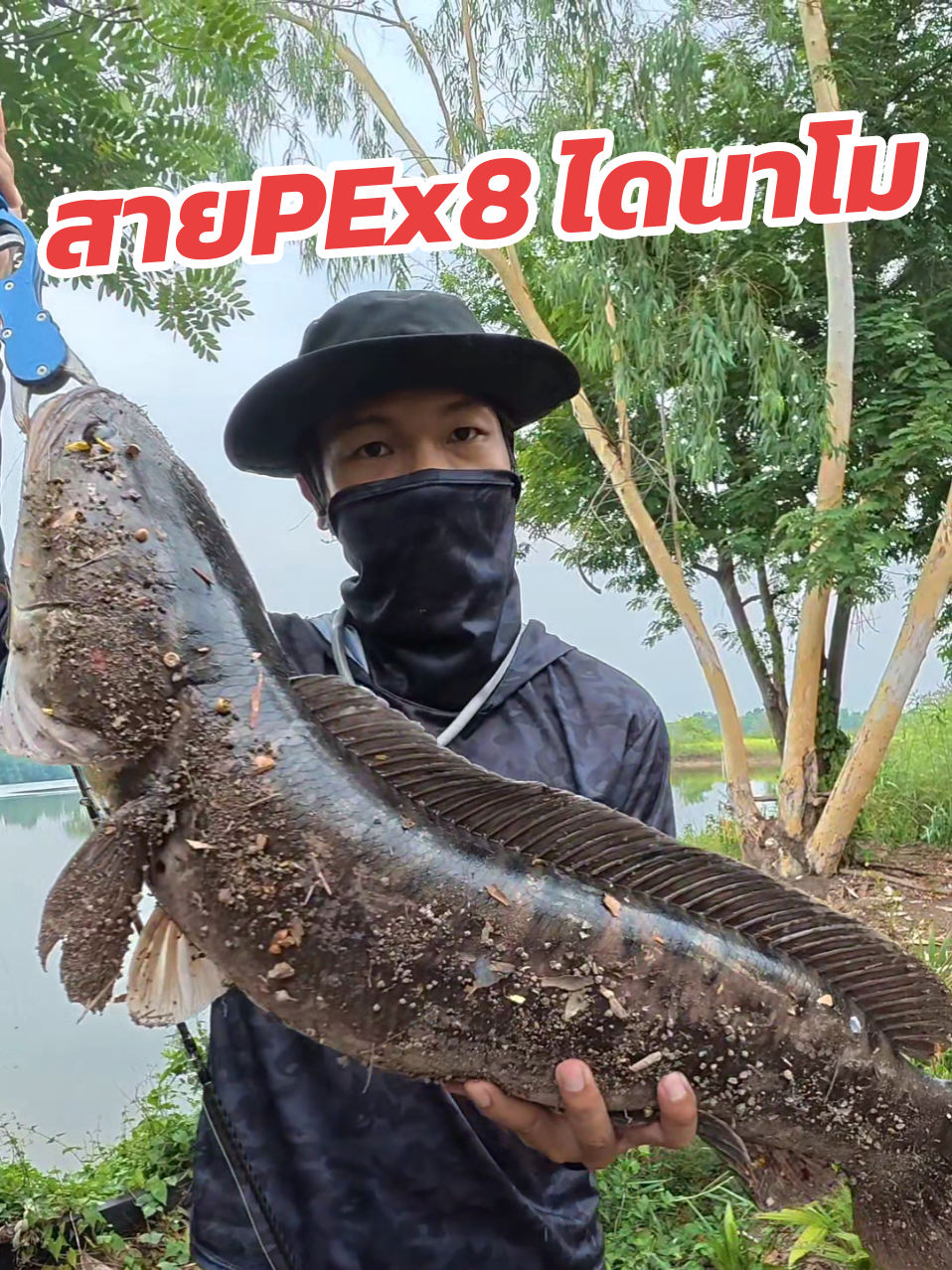 @กาเล็บโป้