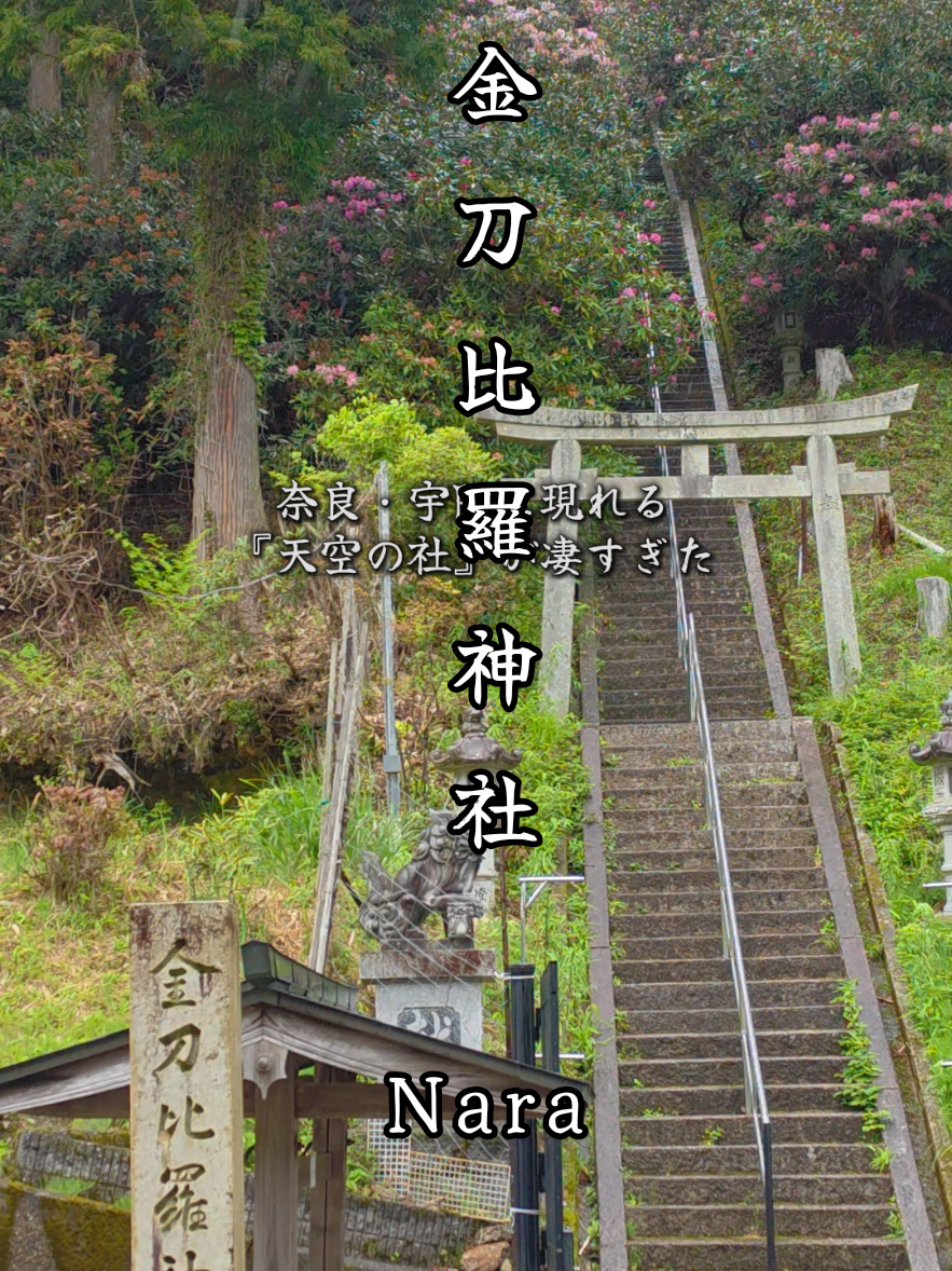 @星来⭐️セイ