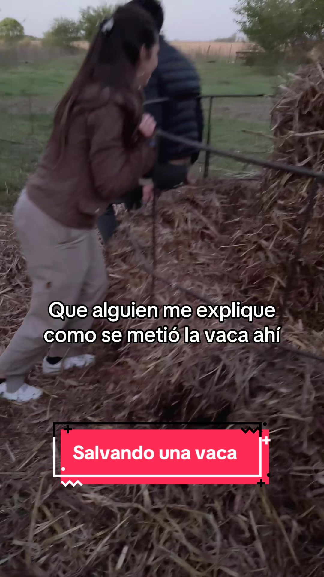 @Carolina Muñoz