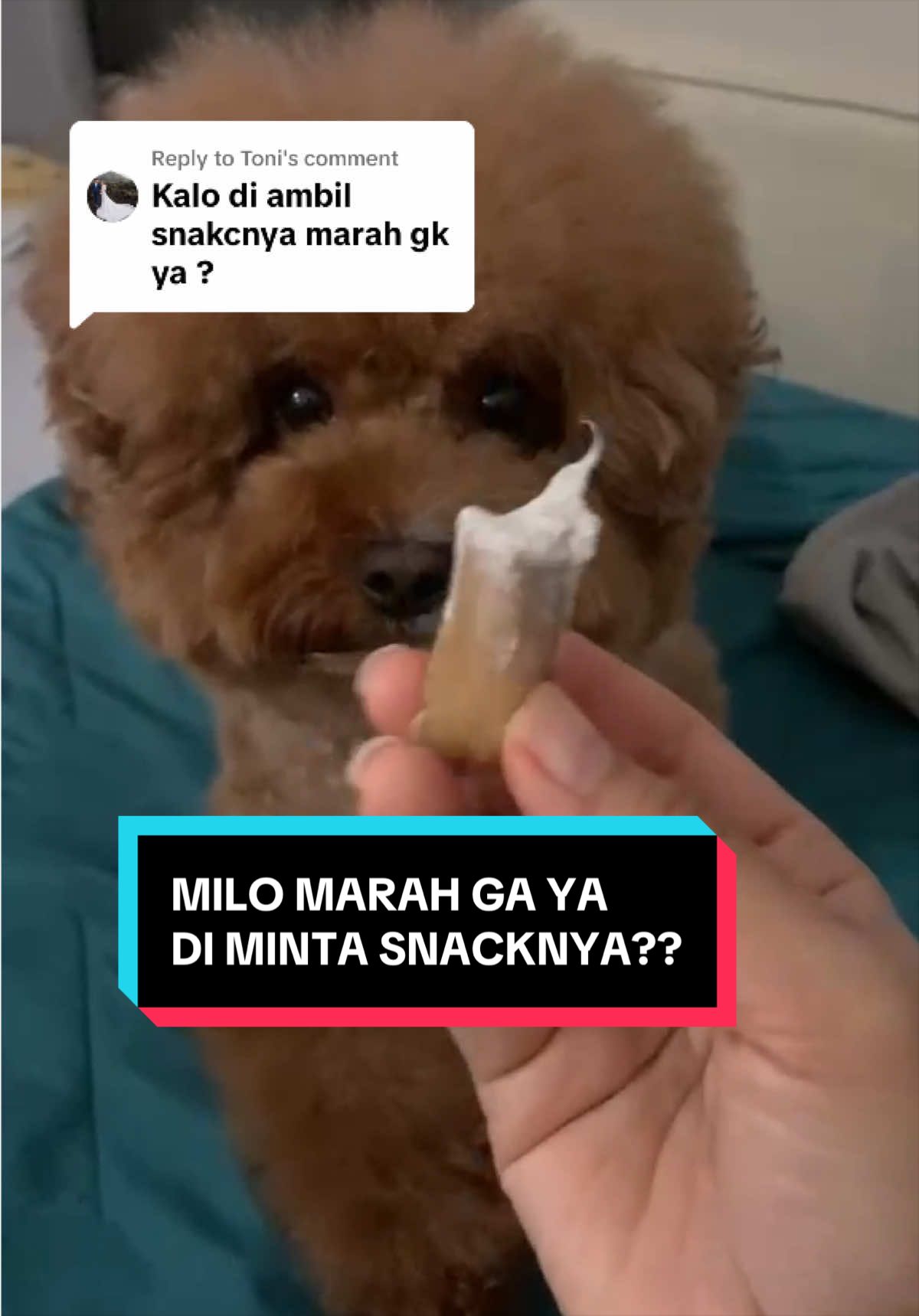 @moou