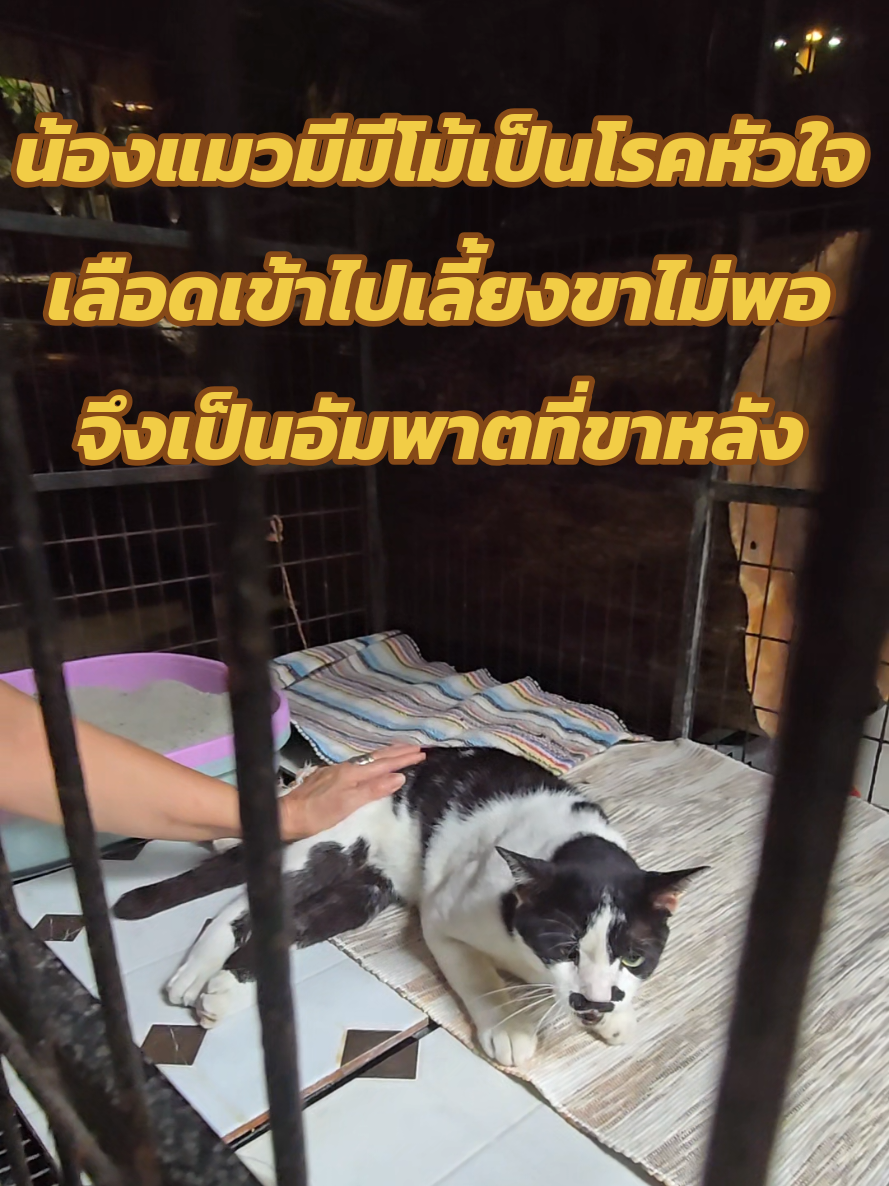 @Sumanee Gunakasem