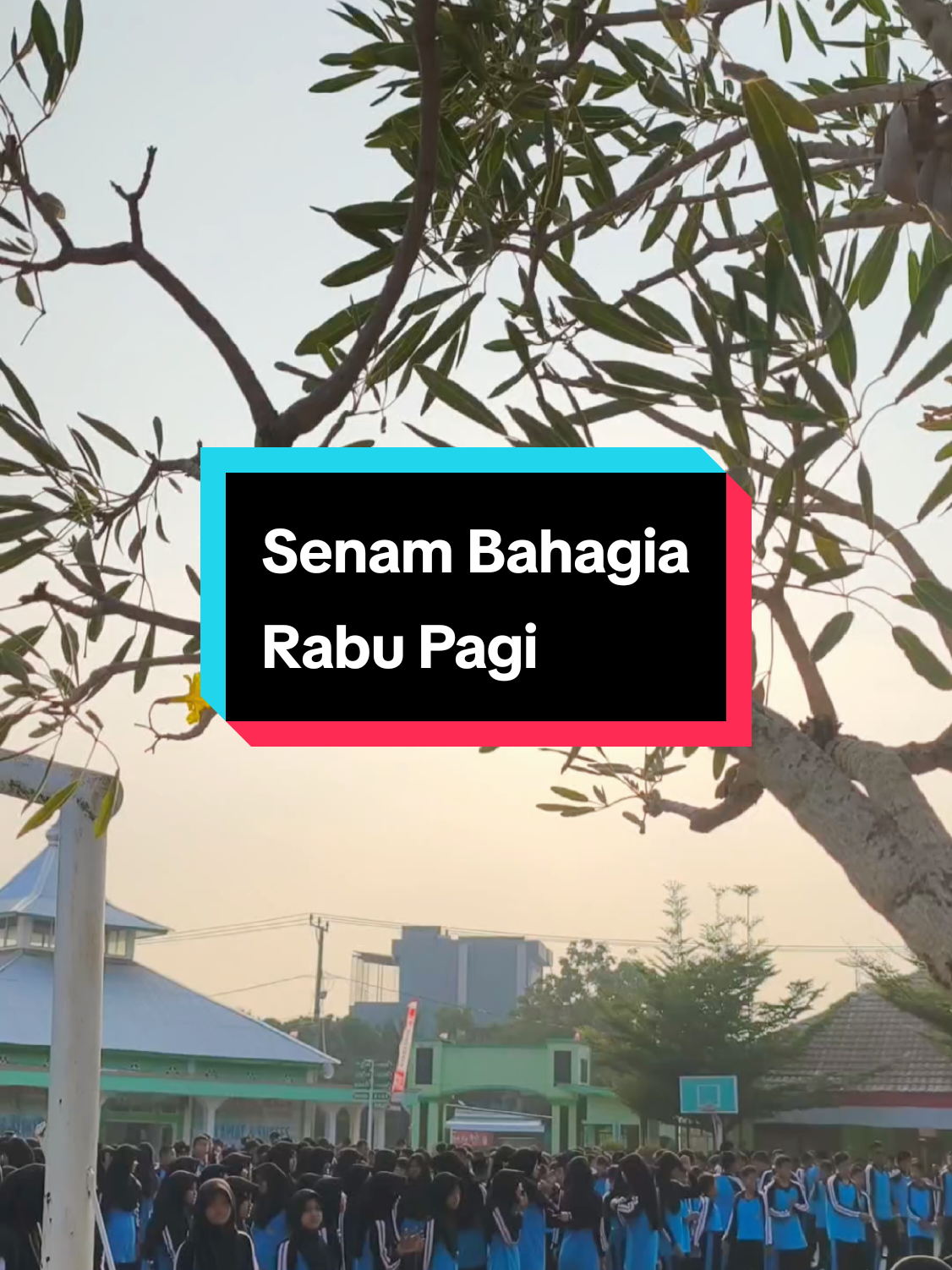 @mtsn2kotajambi