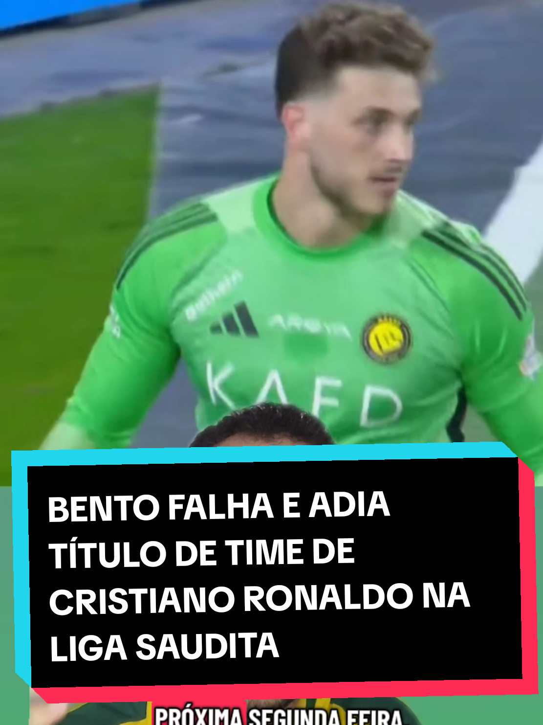@analistaleigo
