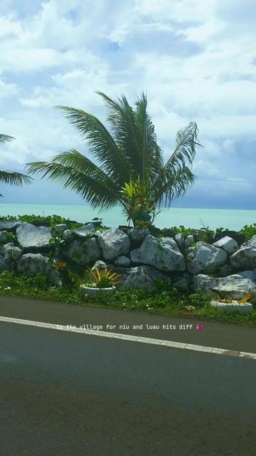 @teinemelody 🇼🇸🇫🇯✨️