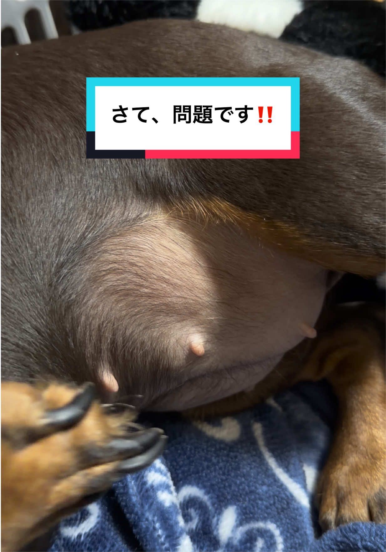 @ð¥é«å¶ºã®ããªã¢æ§ðºð§¿
