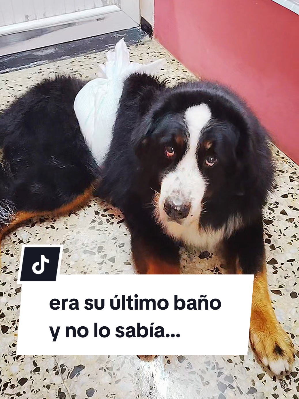 @✨ximenAragon✨