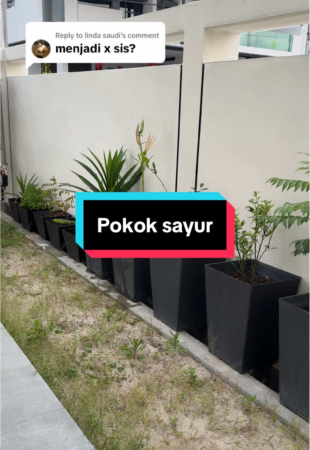 @Zahira Ishak