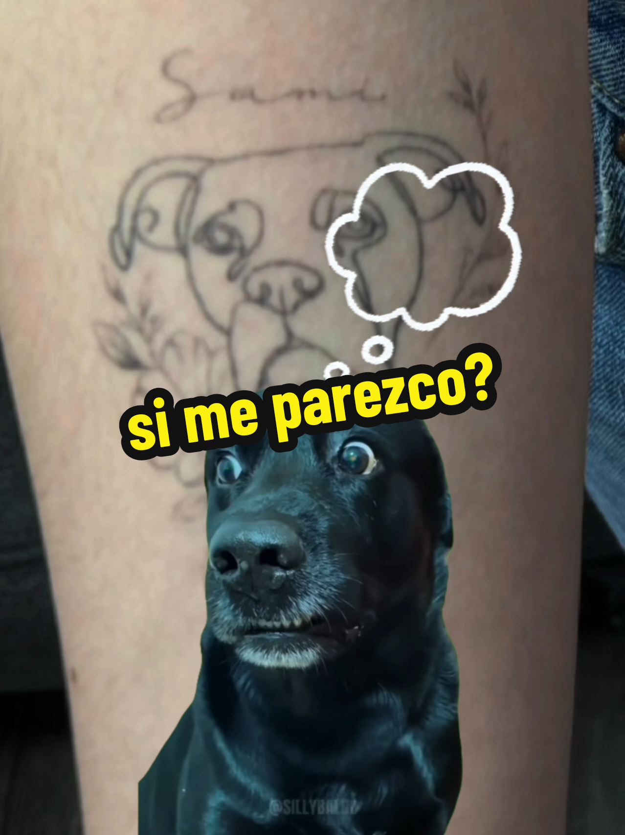 @Deni entre perfos y tinta