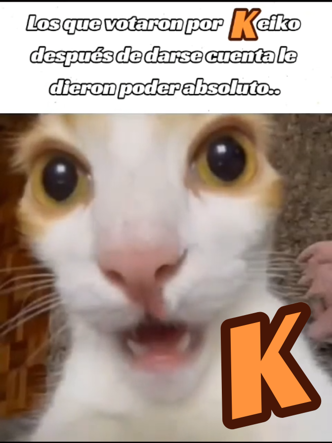 @GATO RAT&Oacute;N