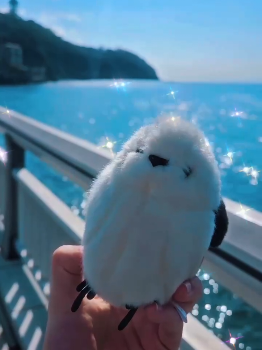 @しまえなが🐦🌻❄️
