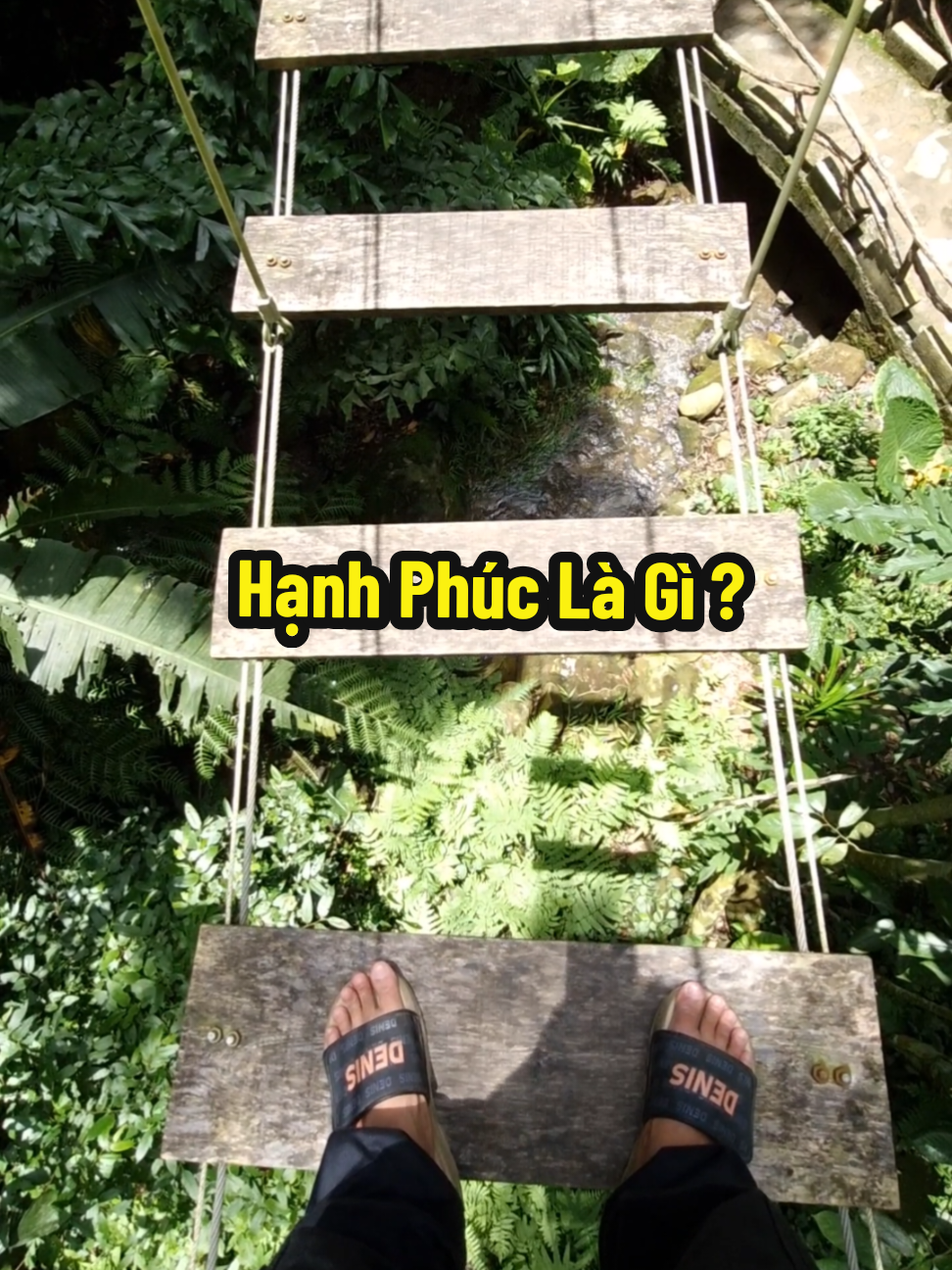 @Hỷ Lạc Du Ký 🇻🇳