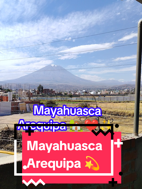 @Mayahuasca❤️