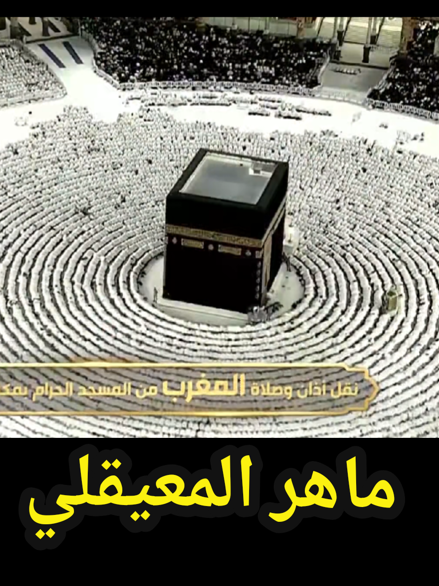 @سعود من المدينة Madinah 🇸🇦