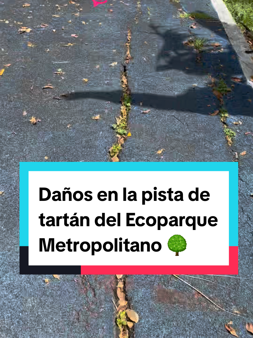 @Periódico Central