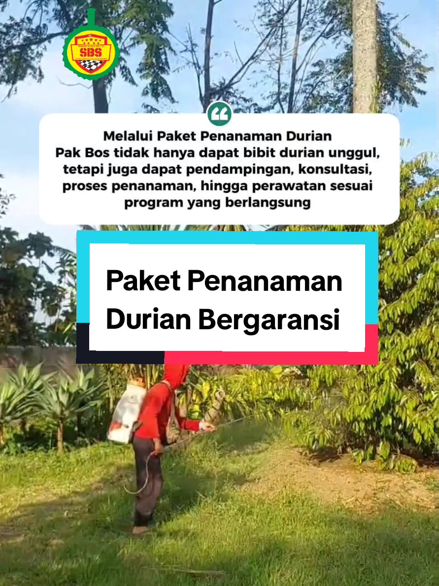 @Produksi Buah_SBS