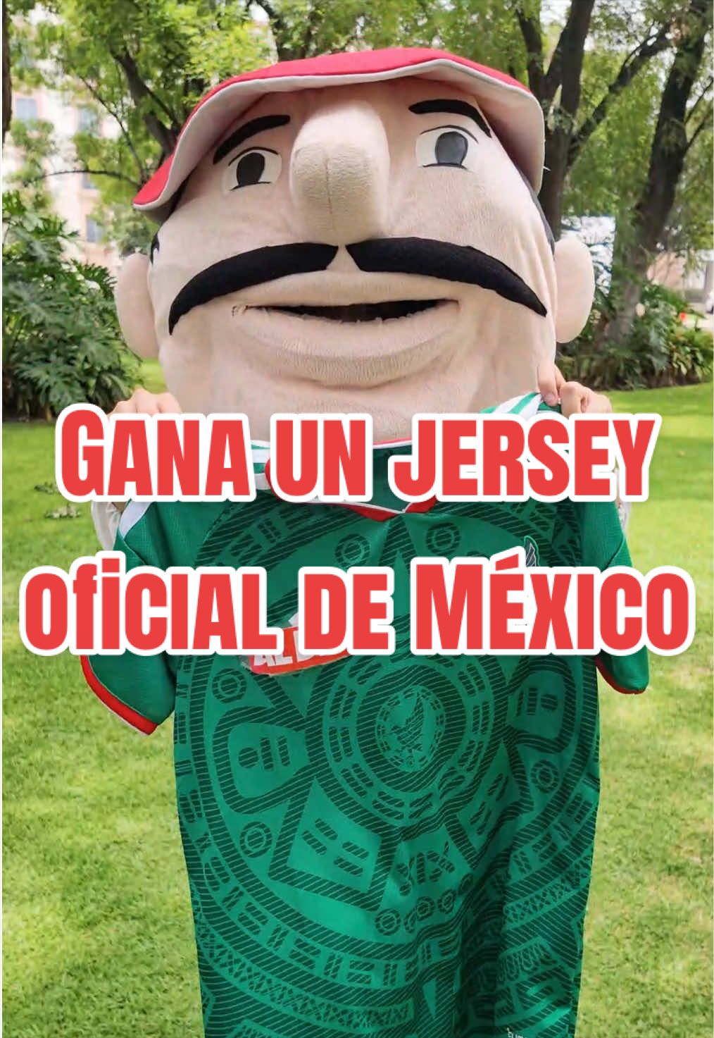 @Al D&iacute;a TV