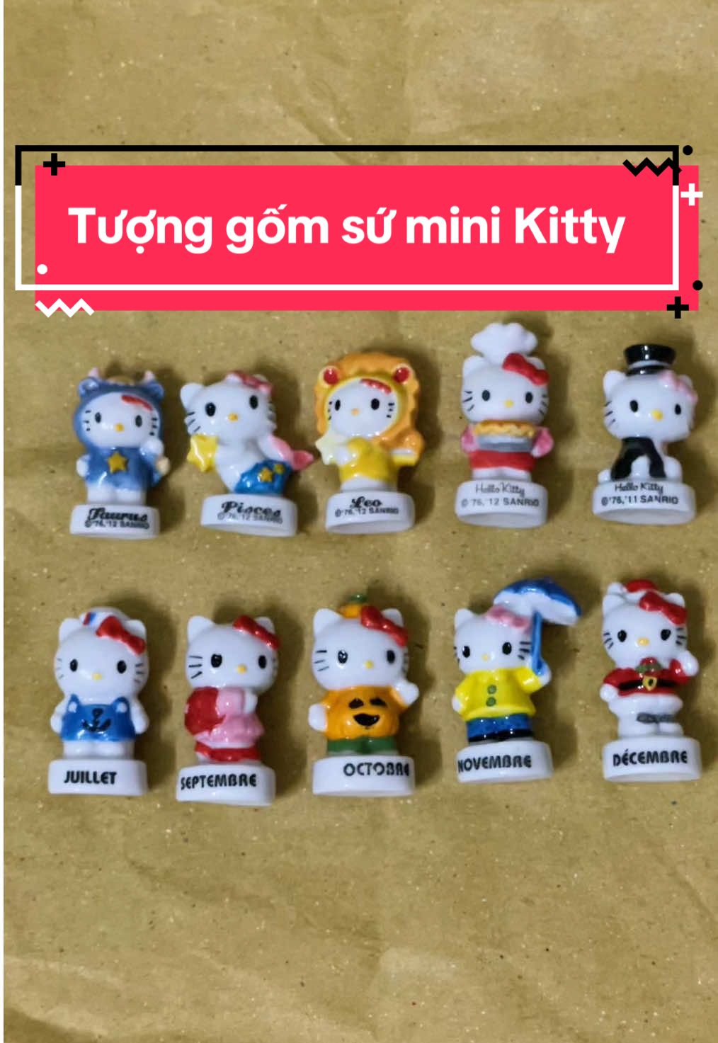 @GowithMeoMeo