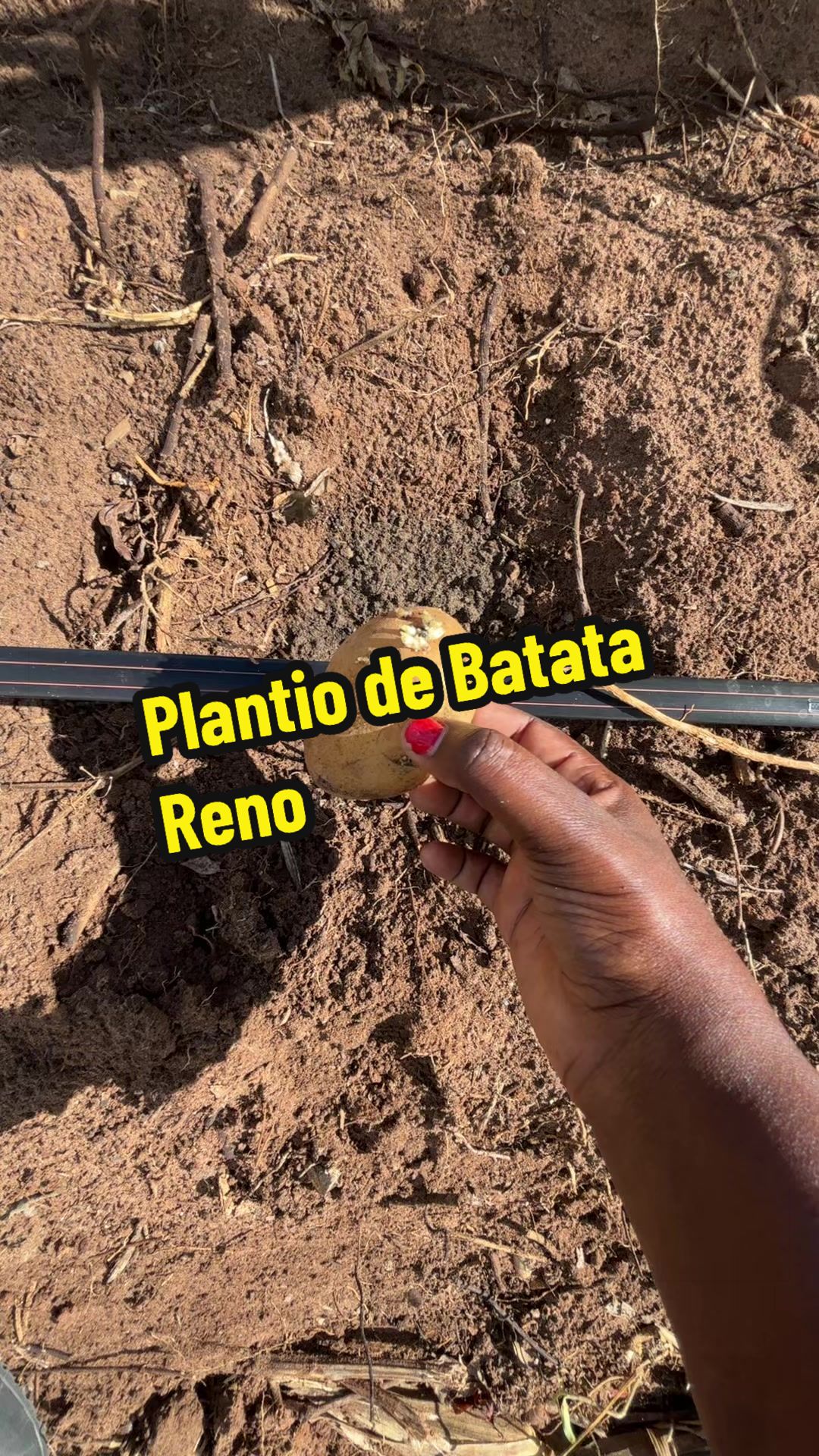 @Felicidade Gotine Firmino