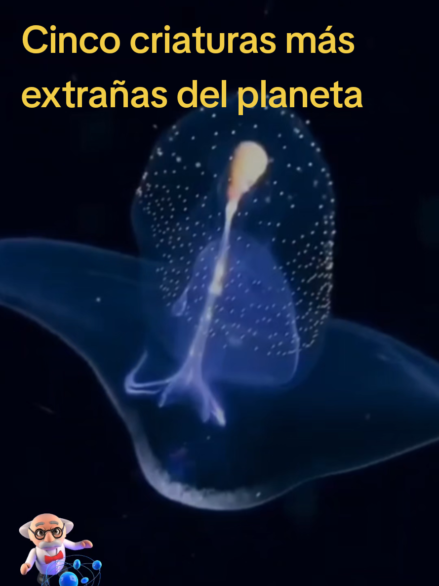 @Locos por la física