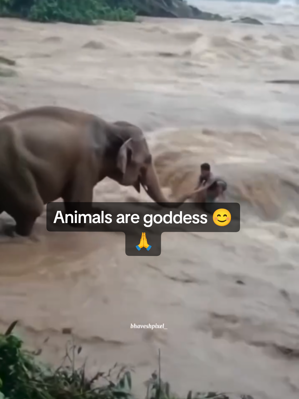 @पोख्रेल