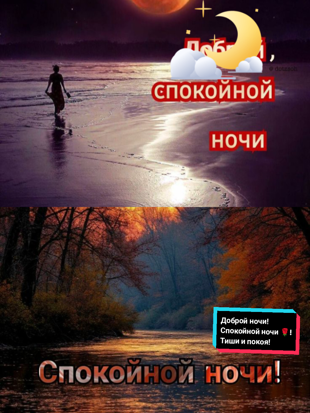 @Z.Svirgunova
