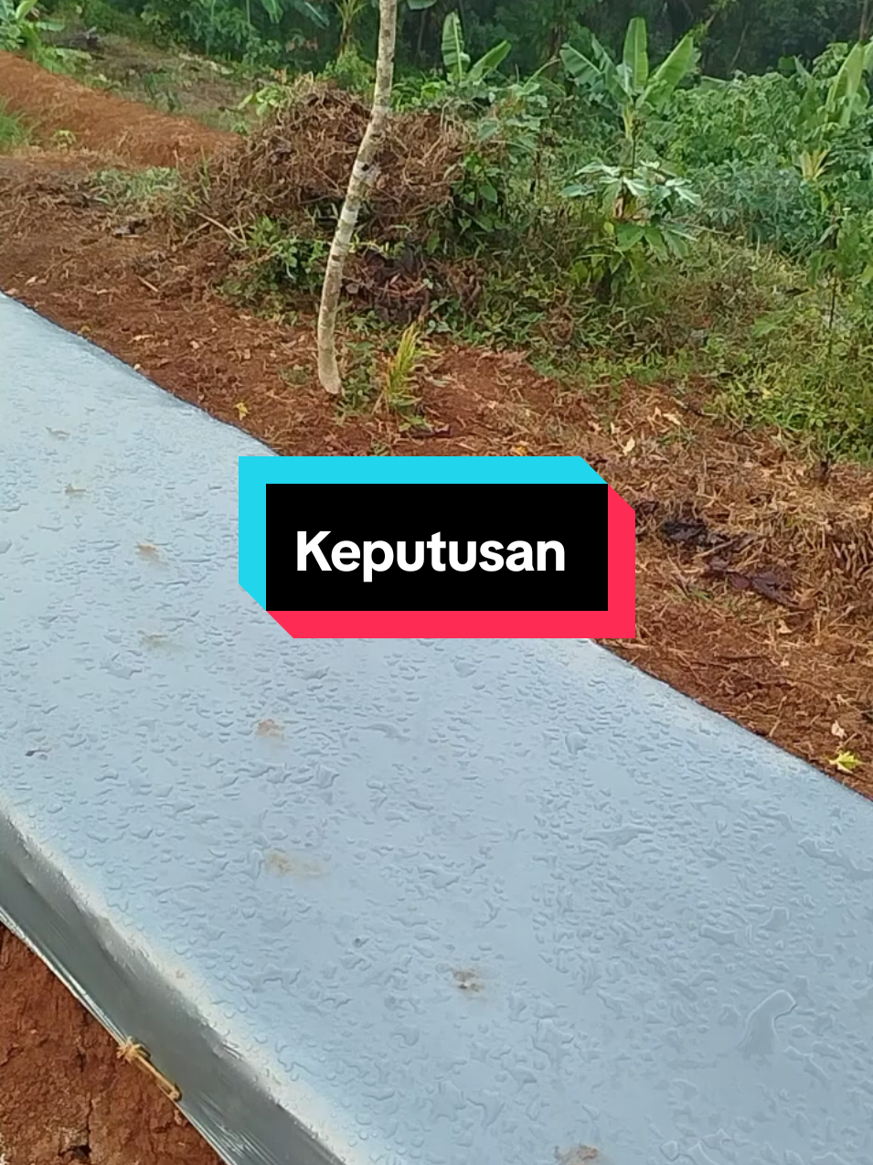 @SenimanPertanianCikancahTV