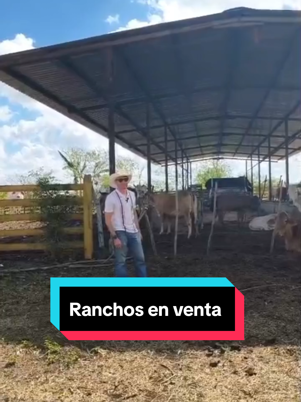 @Chris Cano BR