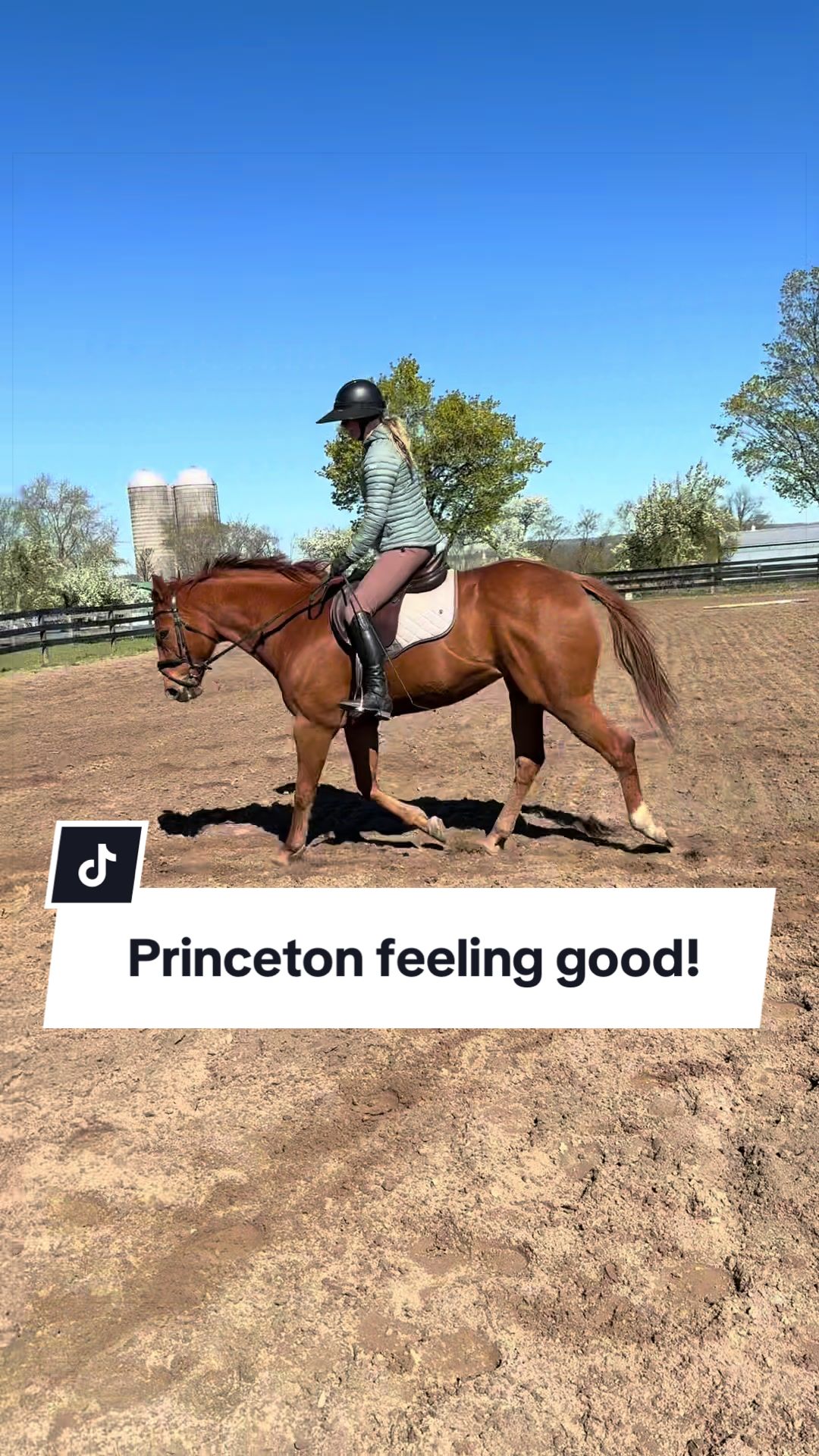 @Karin - Empower Equine app