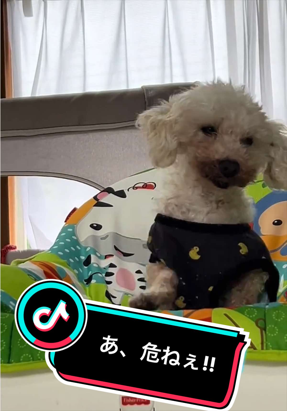 @ð¯ãšããŽãð¯ð¶ð»ð