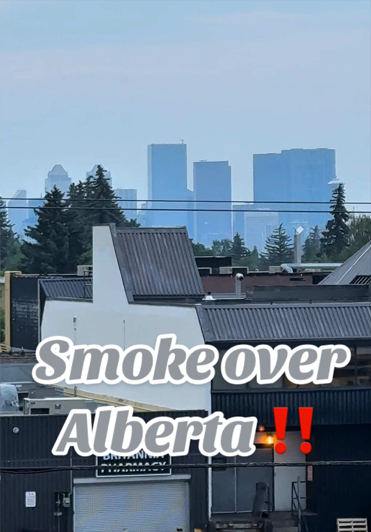 @Cobeeya🇵🇰🇨🇦