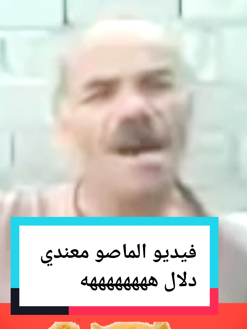 @🥇DZ TV🥇