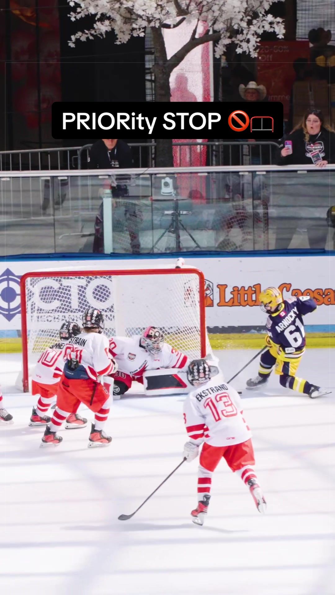 @Brick Hockey