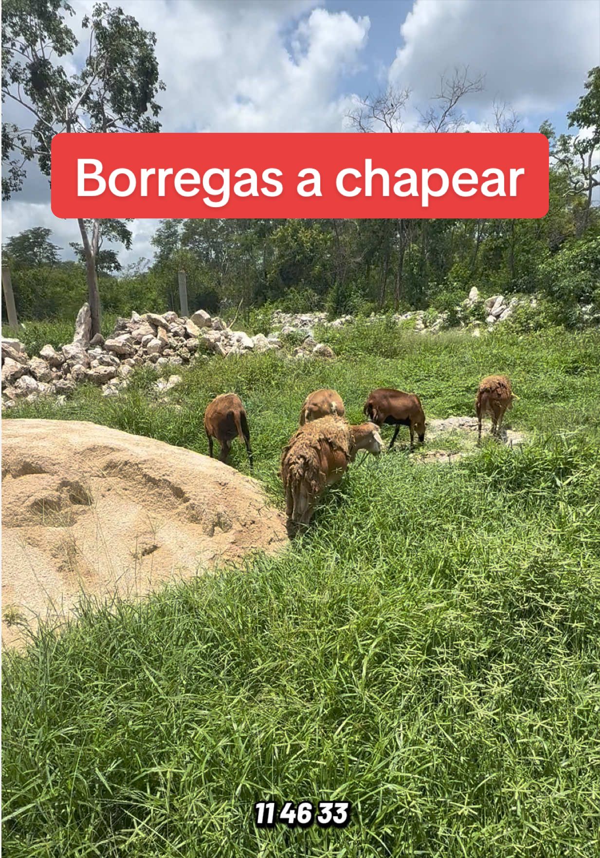 @José Ramón Medina