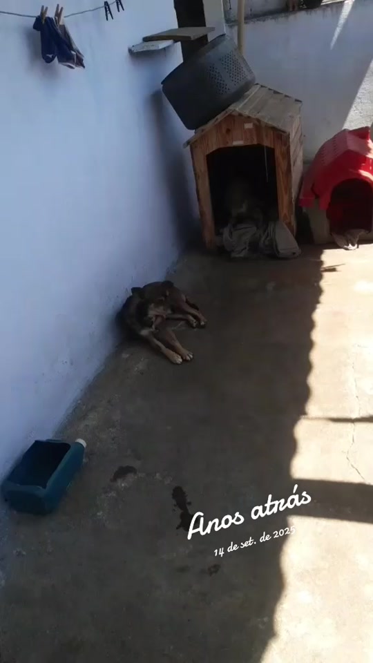 @José Wilson Rodrigues Barbosa