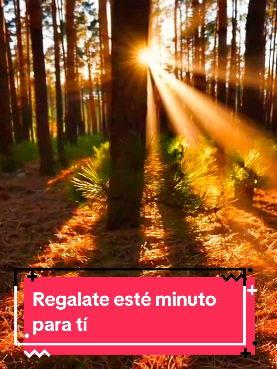 @Mi sendero ✨️