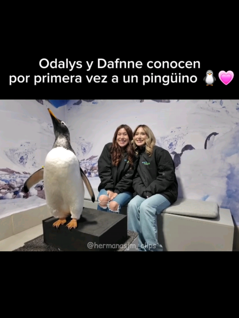 @@hermanasjm_clips